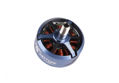 BF2207 KV1950 Gray/Blue